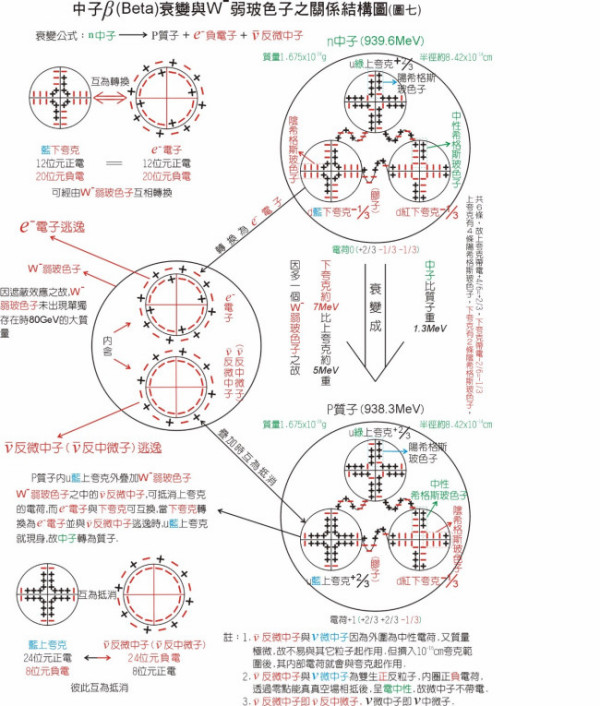 中子是什么意思？