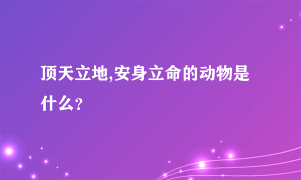 顶天立地,安身立命的动物是什么？