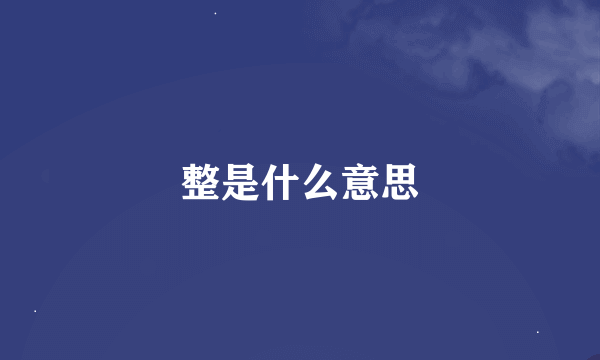 整是什么意思