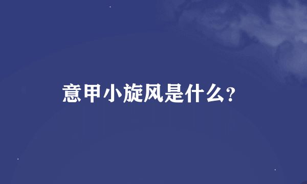 意甲小旋风是什么？