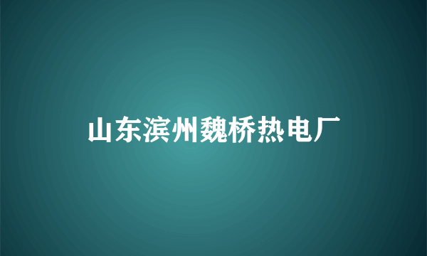 山东滨州魏桥热电厂