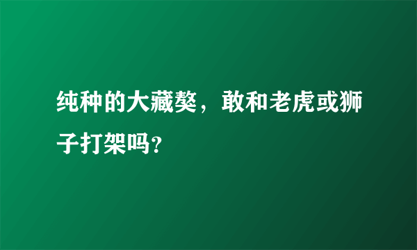 纯种的大藏獒，敢和老虎或狮子打架吗？