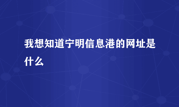 我想知道宁明信息港的网址是什么