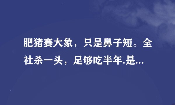 肥猪赛大象，只是鼻子短。全社杀一头，足够吃半年.是什么意思