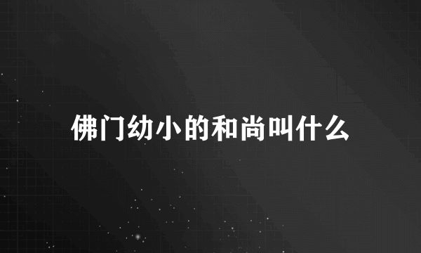 佛门幼小的和尚叫什么