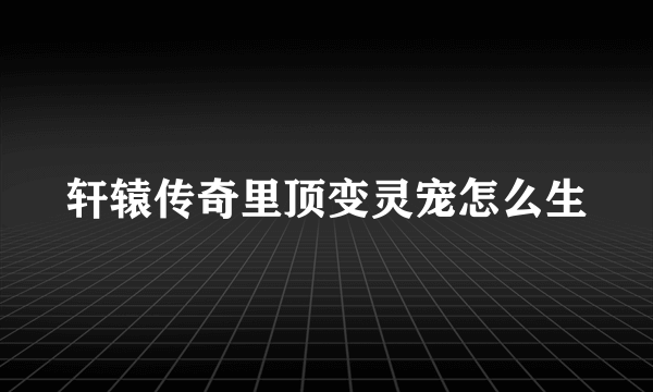 轩辕传奇里顶变灵宠怎么生