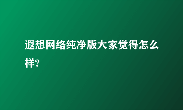 遐想网络纯净版大家觉得怎么样?