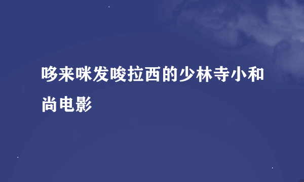 哆来咪发唆拉西的少林寺小和尚电影