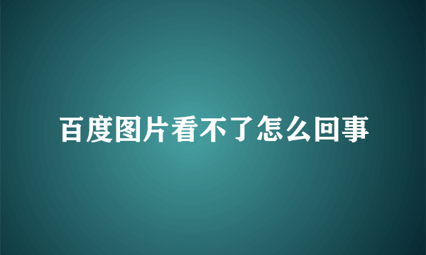 百度图片看不了怎么回事