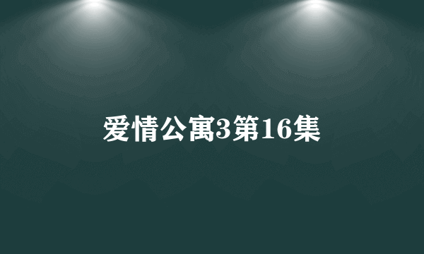 爱情公寓3第16集