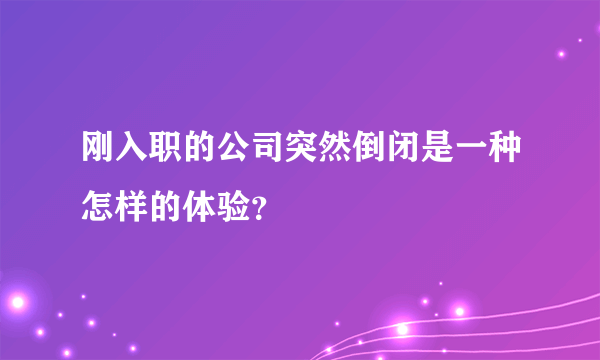 刚入职的公司突然倒闭是一种怎样的体验？