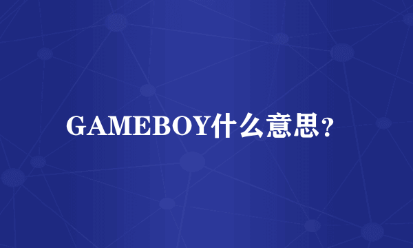 GAMEBOY什么意思？