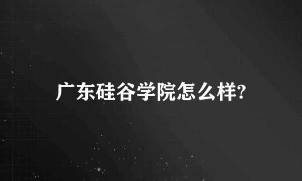 广东硅谷学院怎么样?