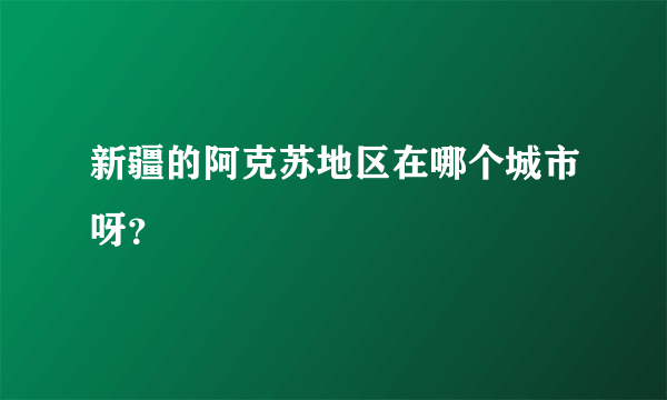 新疆的阿克苏地区在哪个城市呀？