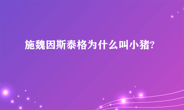 施魏因斯泰格为什么叫小猪?