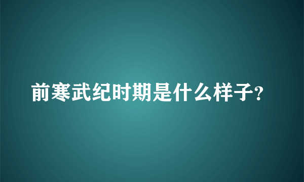 前寒武纪时期是什么样子？