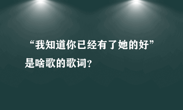 “我知道你已经有了她的好”是啥歌的歌词？