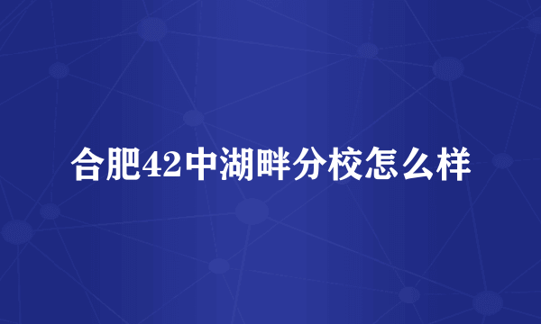 合肥42中湖畔分校怎么样