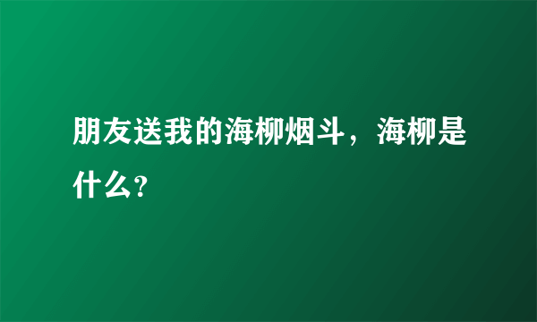 朋友送我的海柳烟斗，海柳是什么？