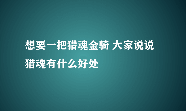 想要一把猎魂金骑 大家说说猎魂有什么好处