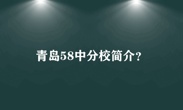 青岛58中分校简介？