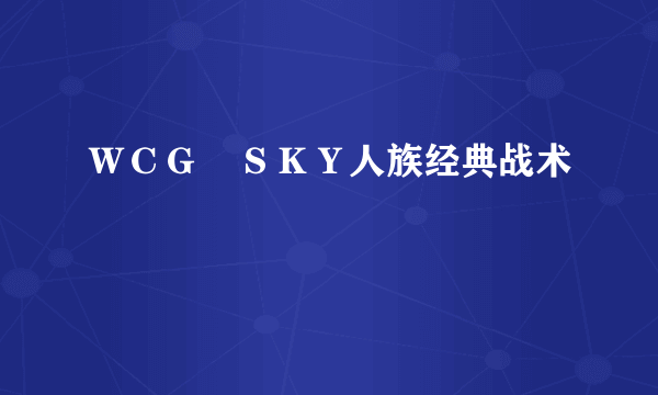 ＷＣＧ　ＳＫＹ人族经典战术