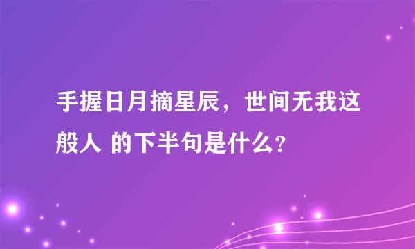 手握日月摘星辰，世间无我这般人 的下半句是什么？