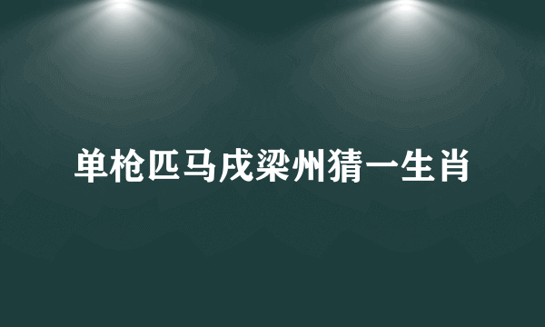 单枪匹马戌梁州猜一生肖