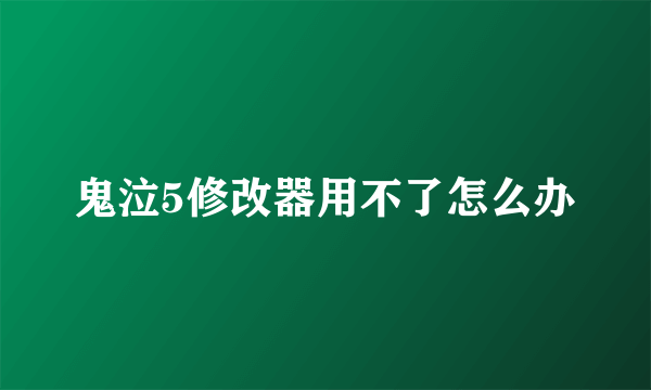 鬼泣5修改器用不了怎么办