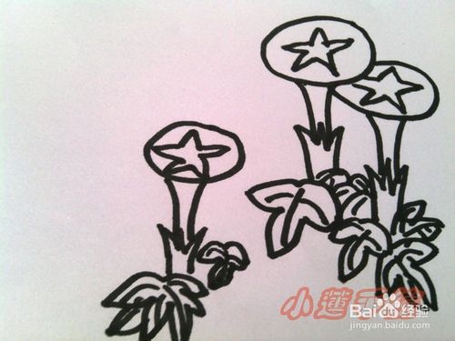 好看的水粉画花怎么画