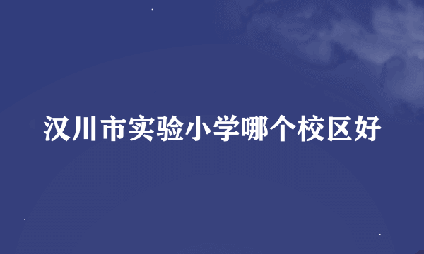 汉川市实验小学哪个校区好