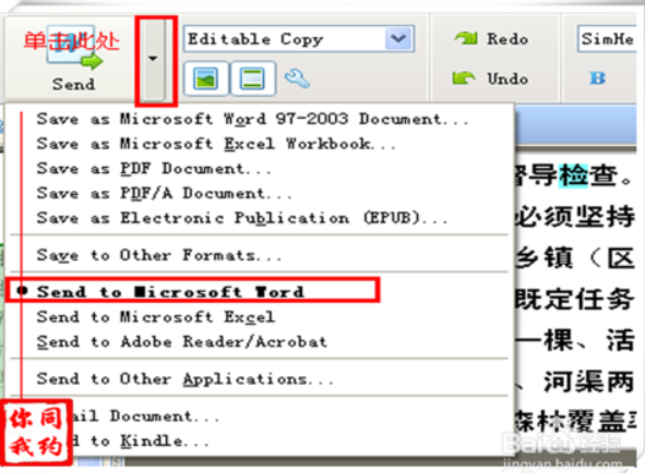 图像word格式转换工具怎么用