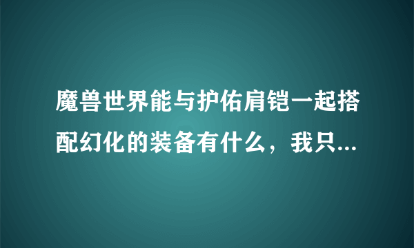 魔兽世界能与护佑肩铠一起搭配幻化的装备有什么，我只在暮光看到头可以，其他部位呢？