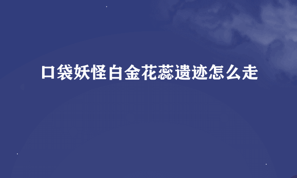 口袋妖怪白金花蕊遗迹怎么走