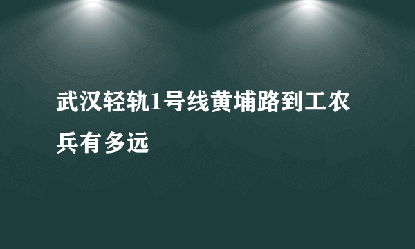 武汉轻轨1号线黄埔路到工农兵有多远