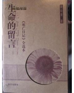 陆幼青的相关信息