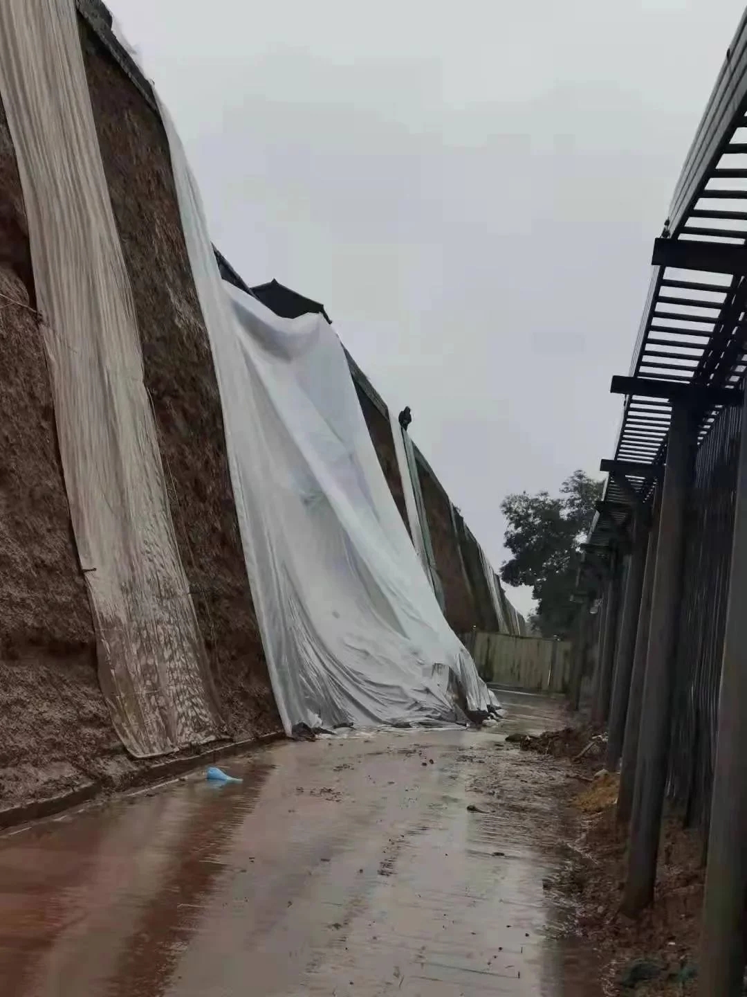 山西遭遇暴雨袭击，平遥古城多处坍塌，古城内的居民是否有伤亡情况？