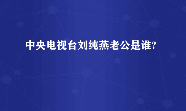 中央电视台刘纯燕老公是谁?