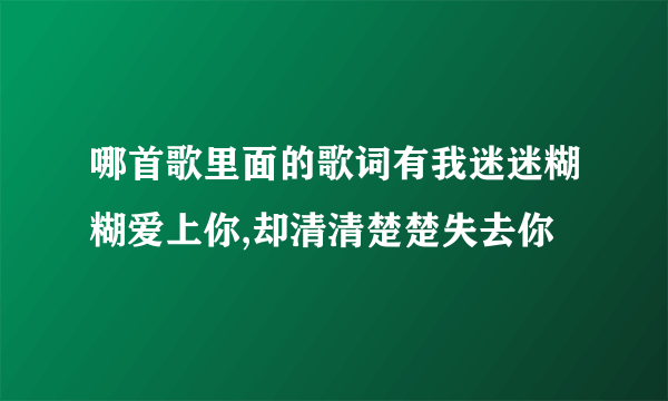 哪首歌里面的歌词有我迷迷糊糊爱上你,却清清楚楚失去你