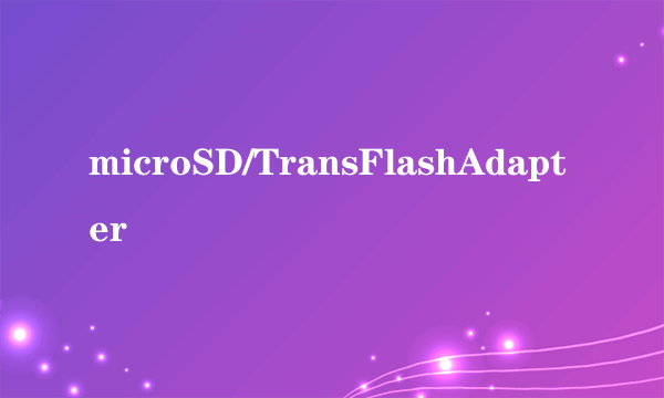 microSD/TransFlashAdapter