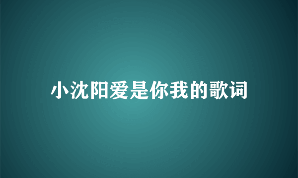 小沈阳爱是你我的歌词