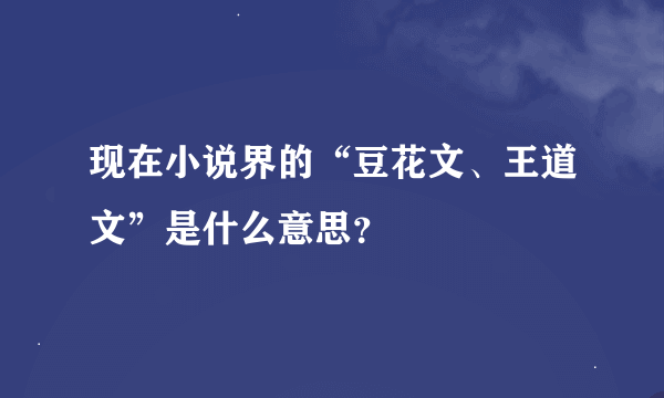 现在小说界的“豆花文、王道文”是什么意思？