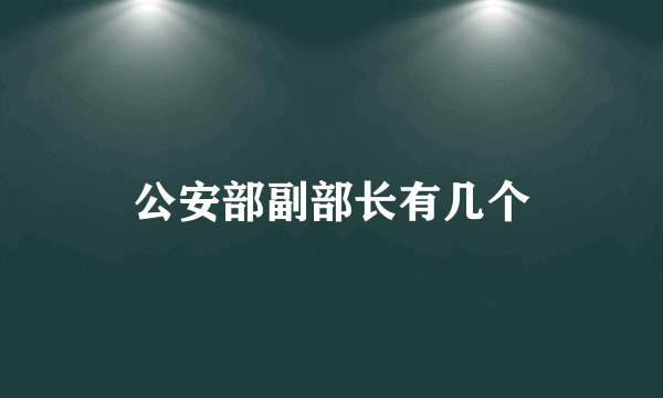 公安部副部长有几个