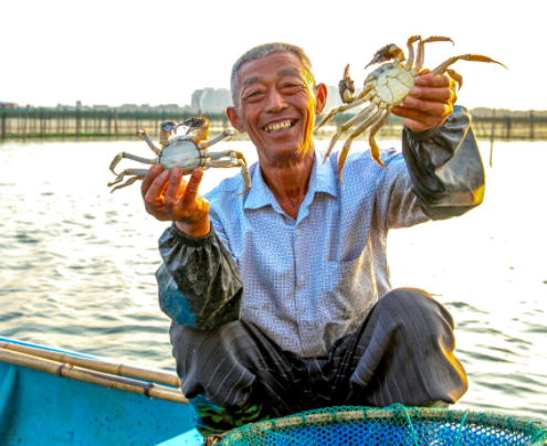 高温热瘦阳澄湖大闸蟹，致价格暴涨40%，今年的大闸蟹会减产涨价吗?