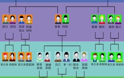 舅舅和外甥女怎么填写社会关系