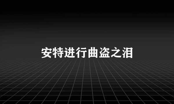 安特进行曲盗之泪