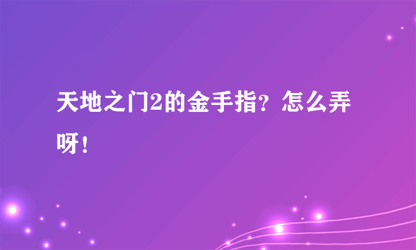 天地之门2的金手指？怎么弄呀！