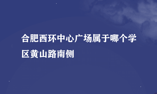 合肥西环中心广场属于哪个学区黄山路南侧