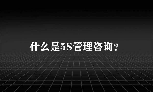 什么是5S管理咨询？