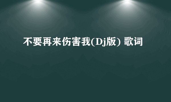 不要再来伤害我(Dj版) 歌词